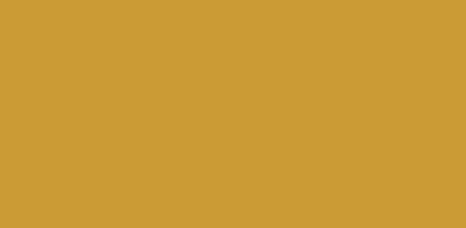 Плитка для бассейна Agrob Buchtal 244x119x6мм gelb dunkel