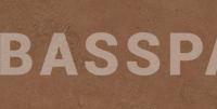 Плитка напольная Exagres ESSENZA 581 Rust 330х665, R9
