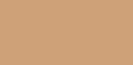 Плитка для бассейна Agrob Buchtal 244x119x8мм lachs mittel RH C